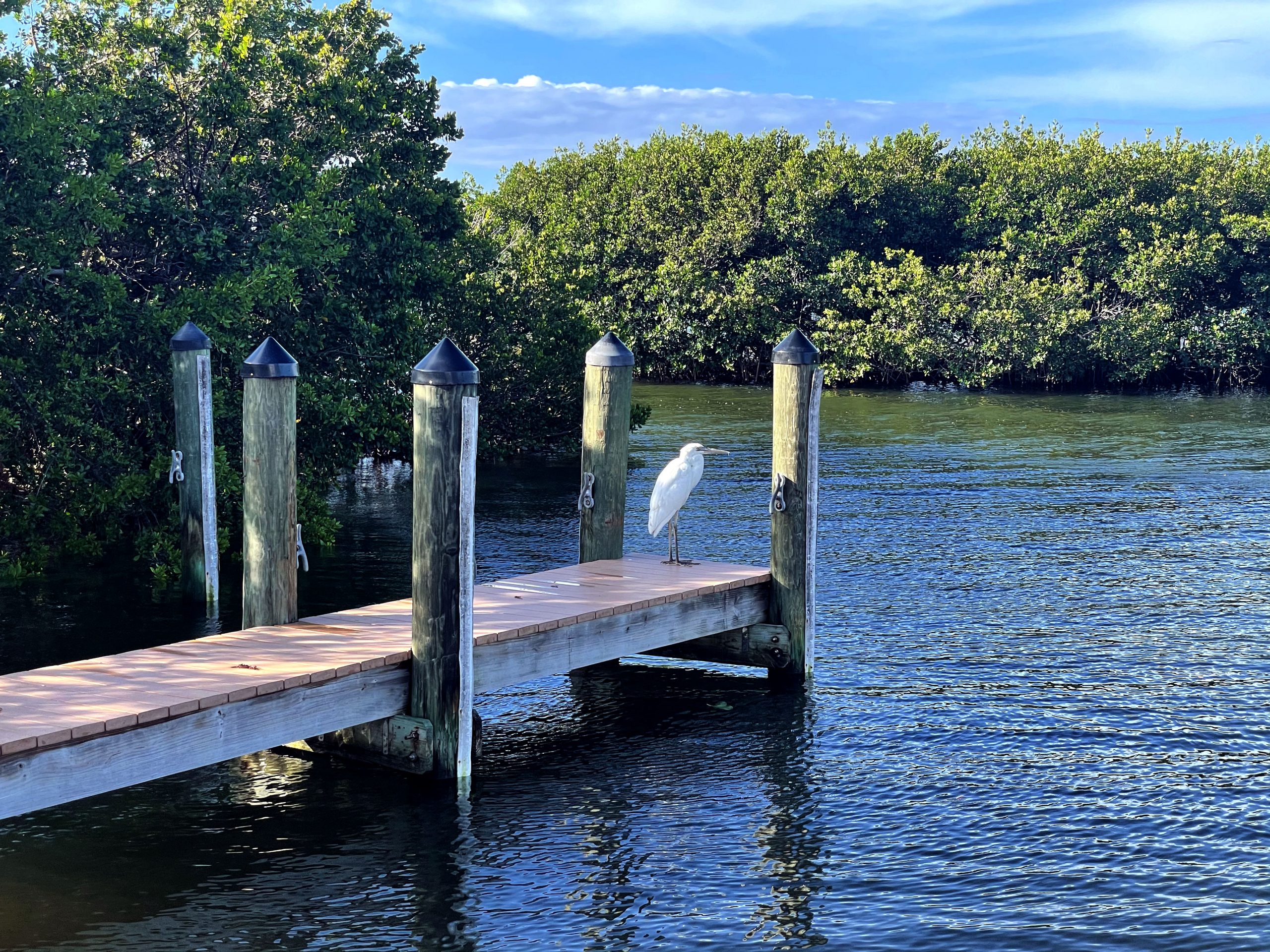 3204 Ocean Pointe Marco Beach Vacations
